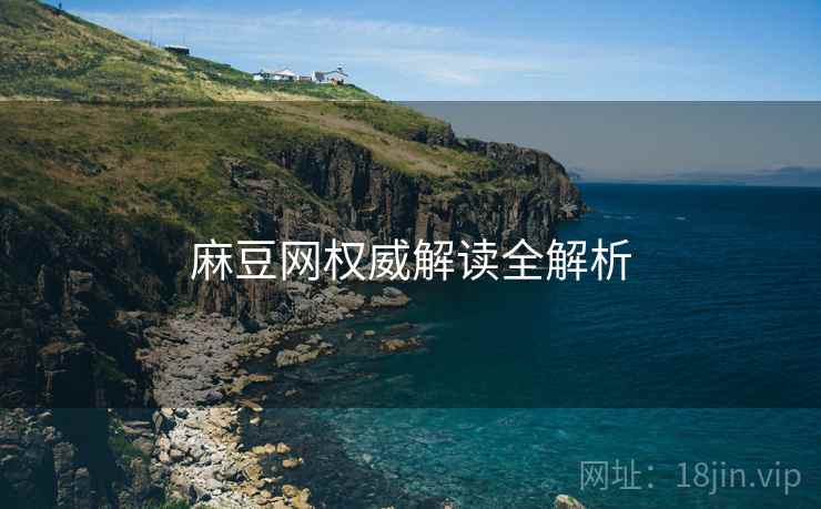 麻豆网权威解读全解析