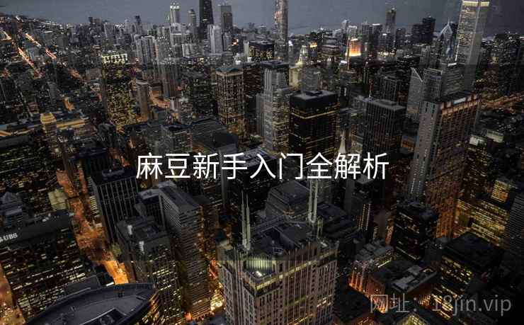 麻豆新手入门全解析