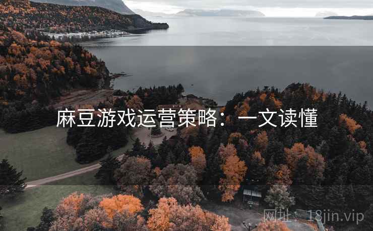 麻豆游戏运营策略：一文读懂