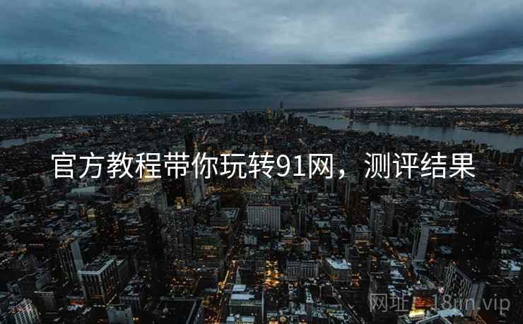 官方教程带你玩转91网，测评结果