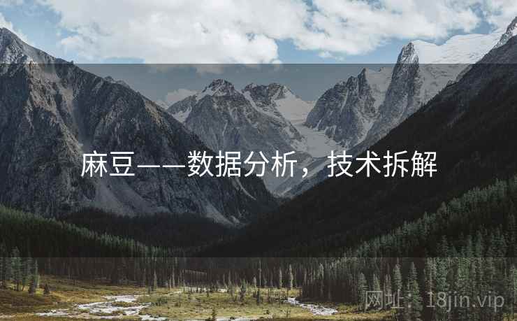 麻豆——数据分析，技术拆解