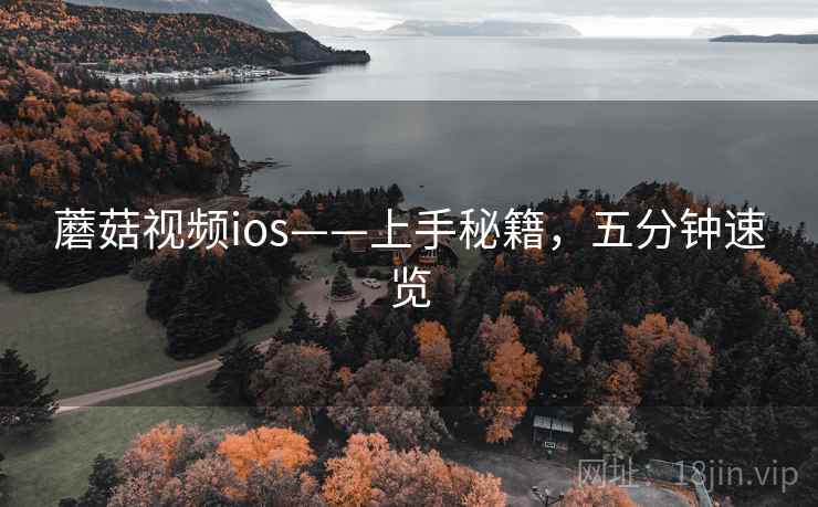 蘑菇视频ios——上手秘籍，五分钟速览