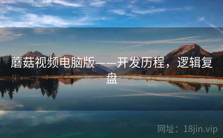 蘑菇视频电脑版——开发历程，逻辑复盘