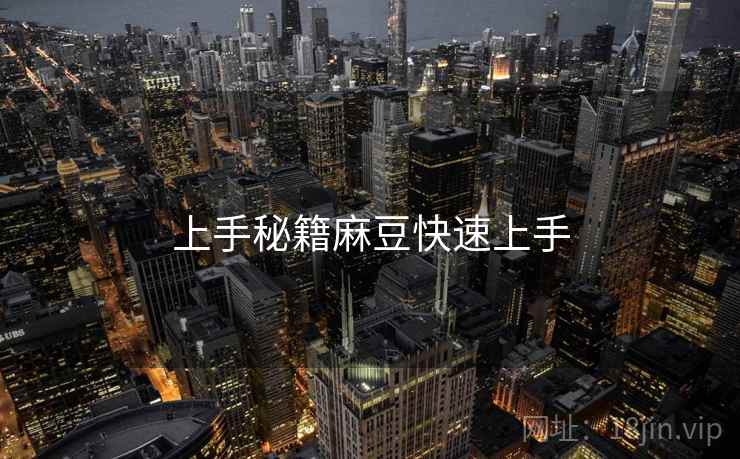 上手秘籍麻豆快速上手