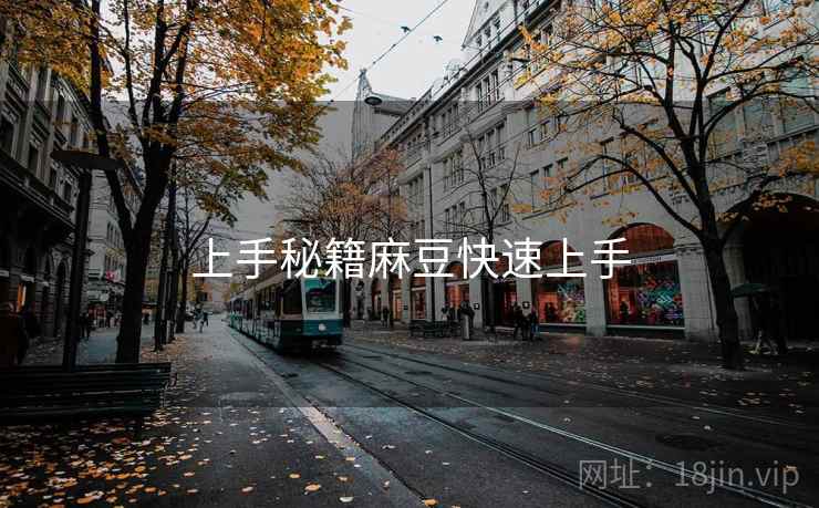 上手秘籍麻豆快速上手