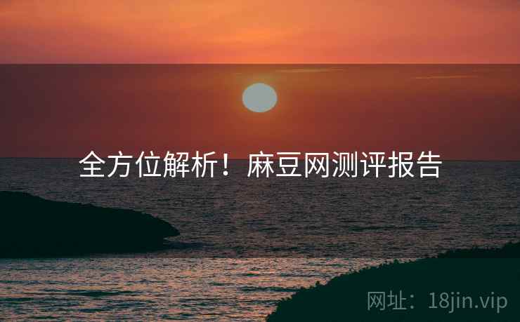全方位解析！麻豆网测评报告