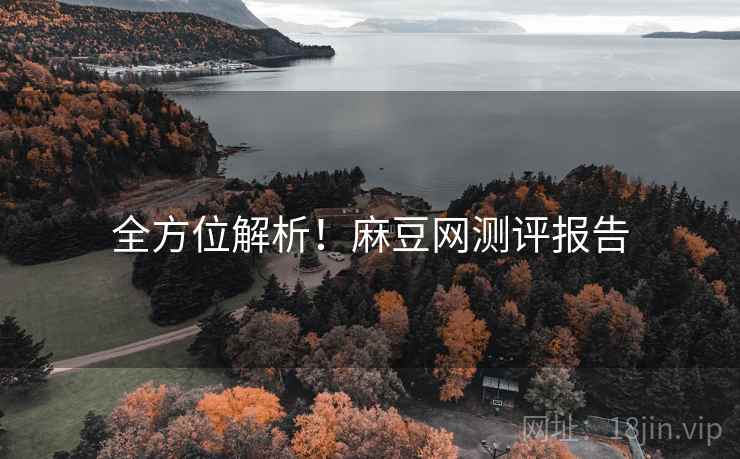 全方位解析！麻豆网测评报告