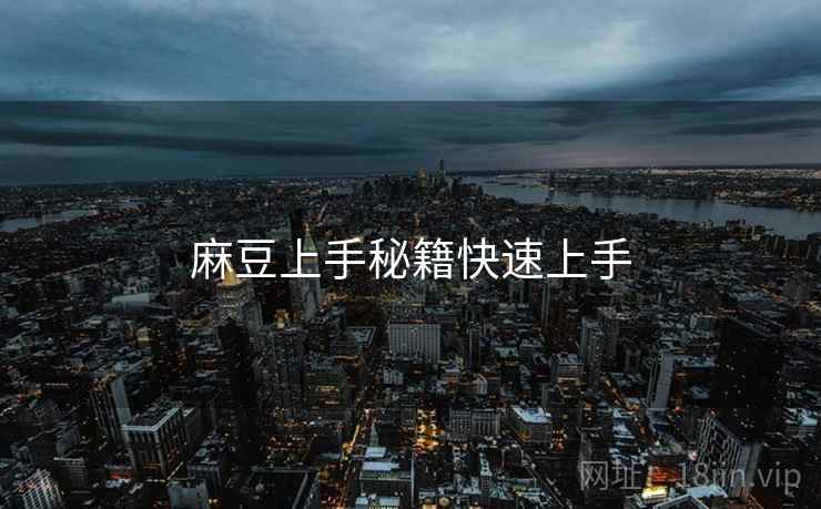 麻豆上手秘籍快速上手