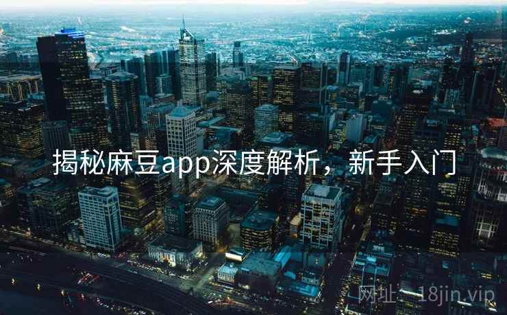 揭秘麻豆app深度解析，新手入门
