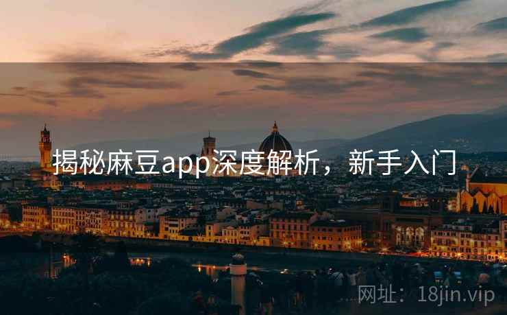 揭秘麻豆app深度解析，新手入门