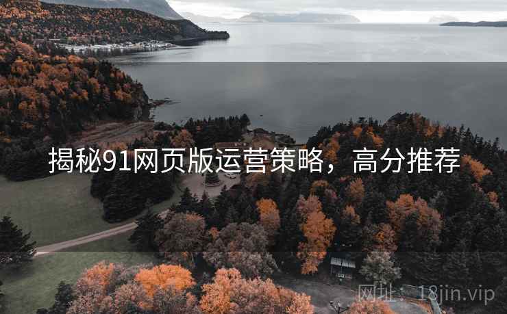 揭秘91网页版运营策略，高分推荐