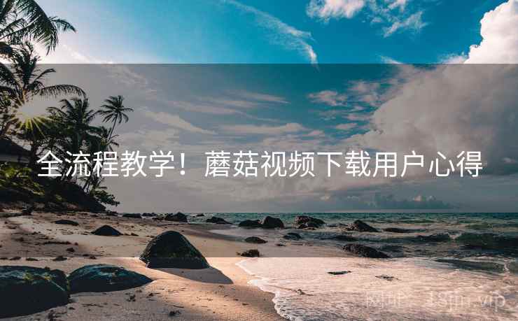 全流程教学！蘑菇视频下载用户心得
